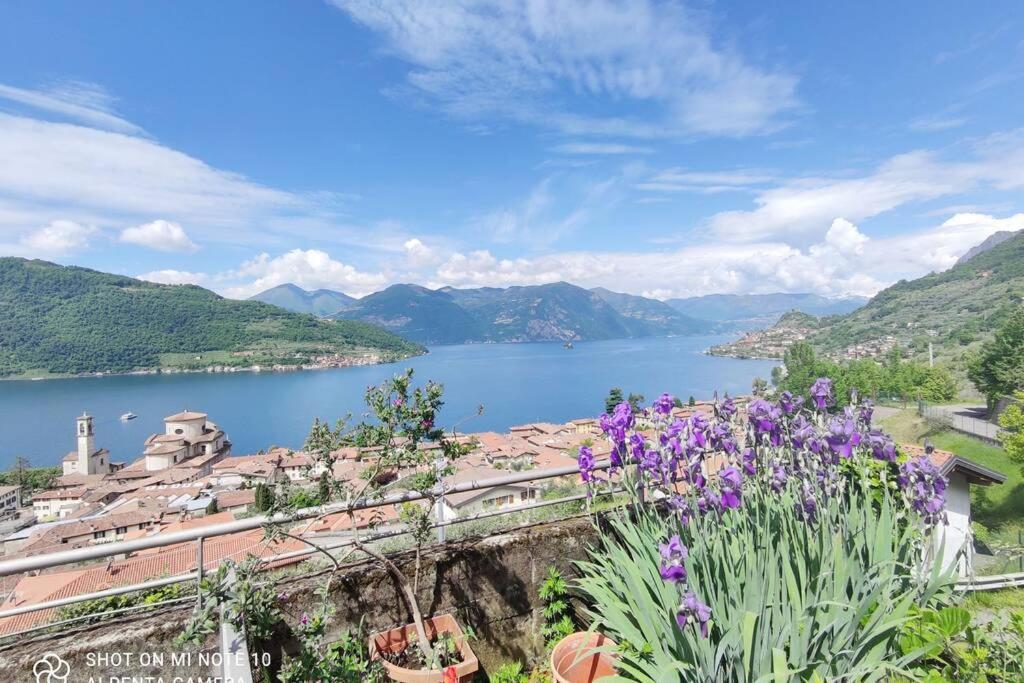 Gioiello Sul Lago D'Iseo Sale Marasino Dış mekan fotoğraf